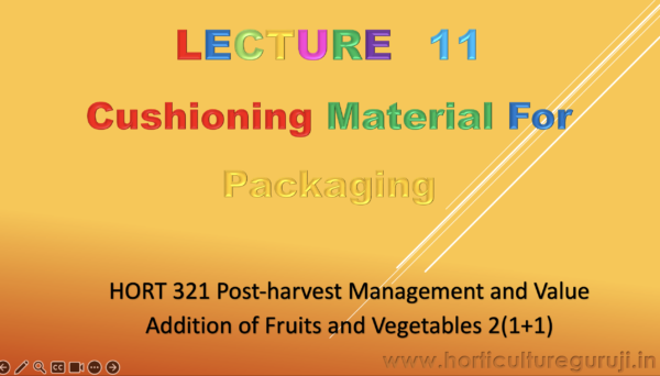 Cushioning Material For Packaging PPT